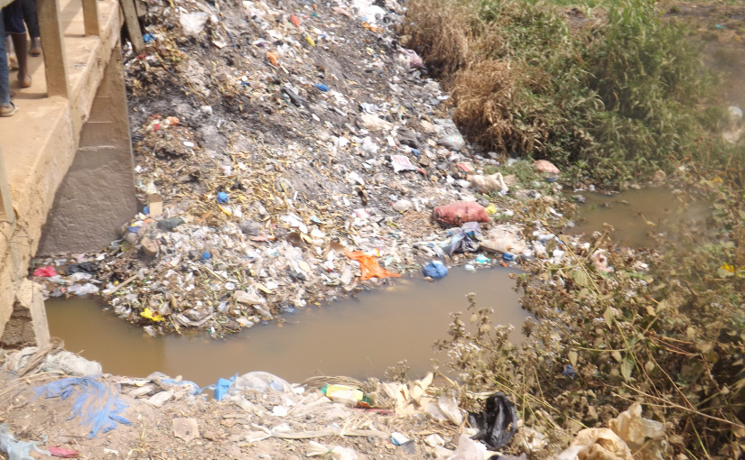 Article : Sachets plastiques : changeons nos habitudes !