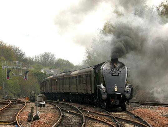 Article : Dame Loco et mon rendez-vous