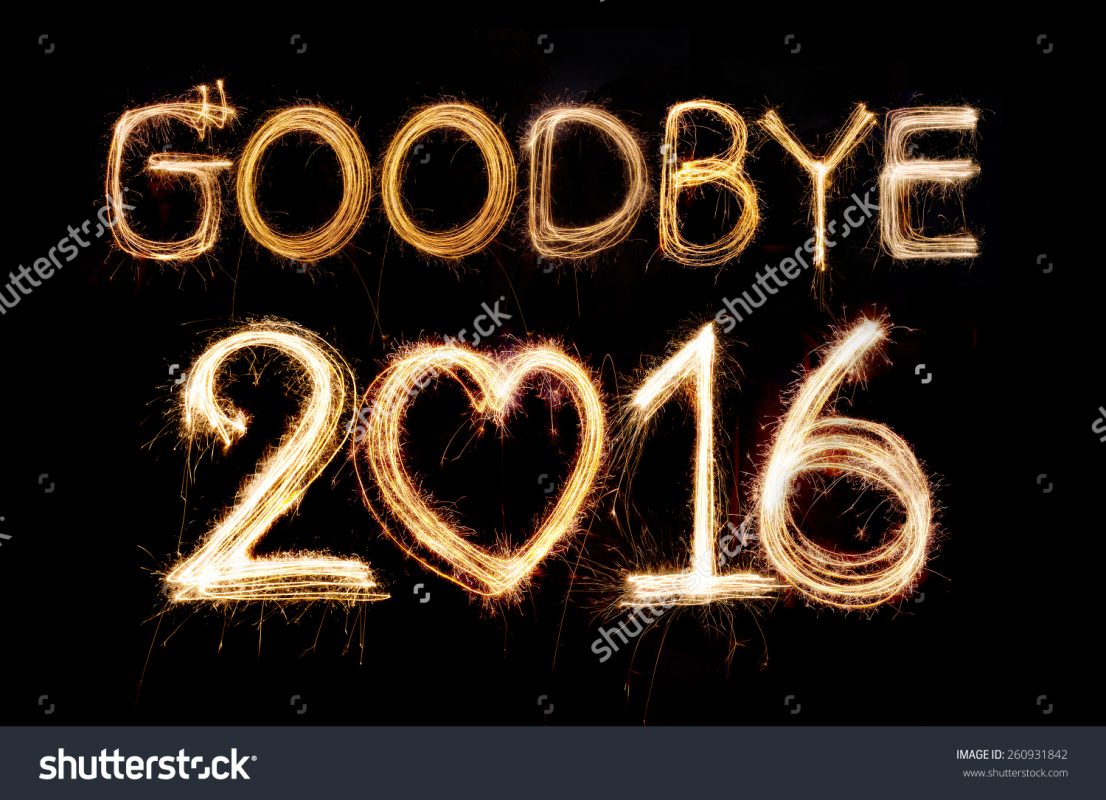 Article : 2016 : Déjà le bilan !!!