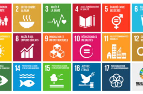Article : L’Organisation des Nations Unies, les objectifs de développement durable et le monde de demain