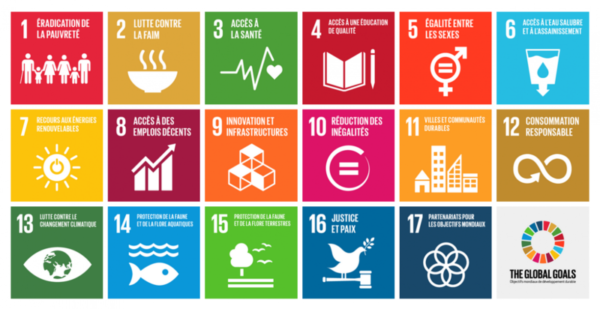 Article : L’Organisation des Nations Unies, les objectifs de développement durable et le monde de demain